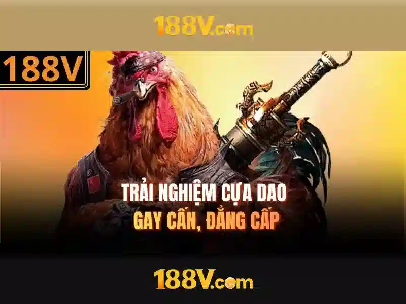 Khái niệm 188V và hành trình khám phá