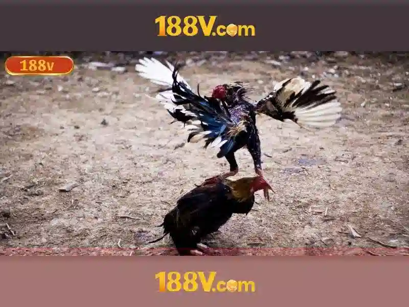 188v đăng nhập - trải nghiệm và ưu đãi cho eSports