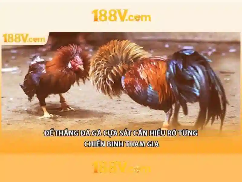 Giao diện sảnh cá cược Esport chuyên nghiệp tại nhà cái 188v