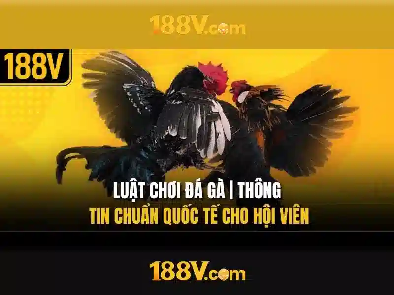 Khám phá 188v và ý nghĩa của nó