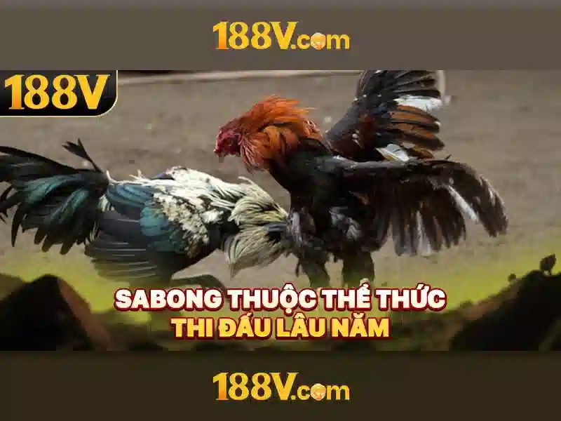 188V: Khái niệm, nguồn gốc và ứng dụng trong công nghệ hiện đại
