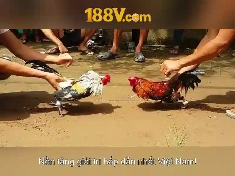 188v trong công nghệ và nghệ thuật