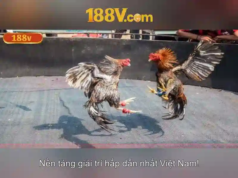 Khám phá 188v: một khía cạnh công nghệ và văn hóa